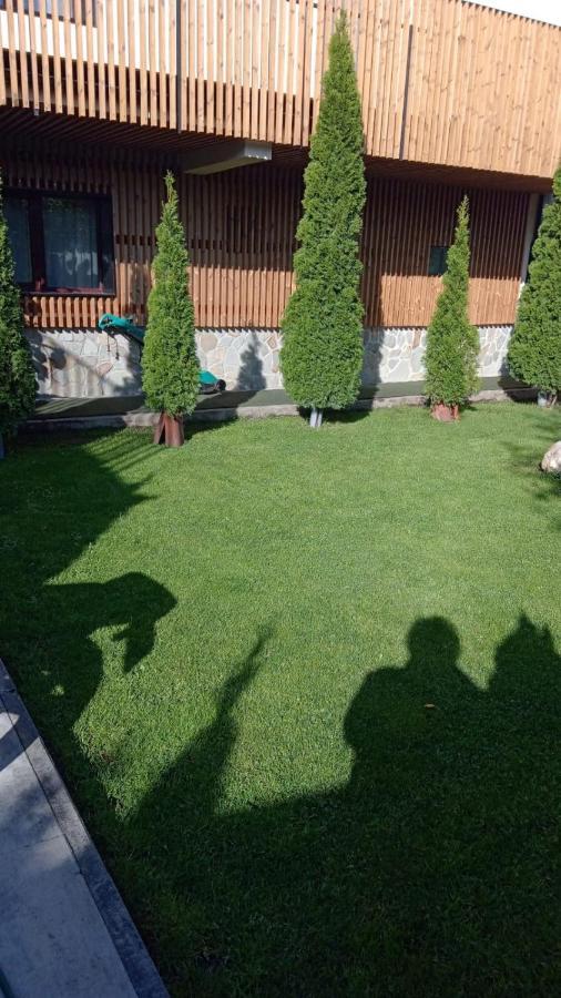 Отель Casa Borgo Брашов Экстерьер фото